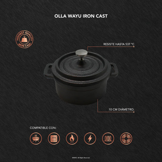 Olla Iron Cast de Hierro Fundido 10 cm - Wayu